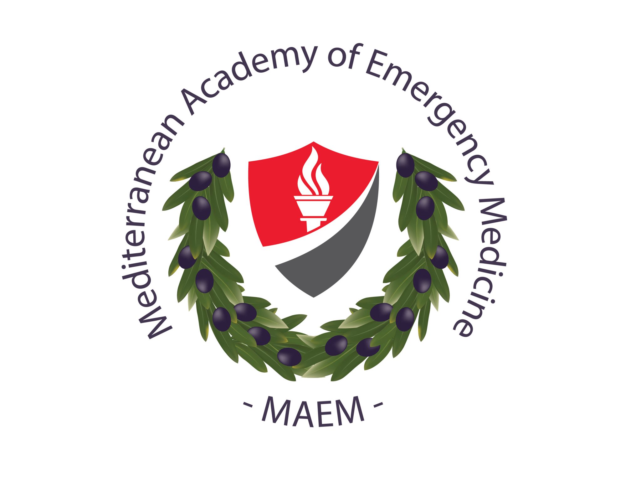 Mediterranean Chapter Division AAEM